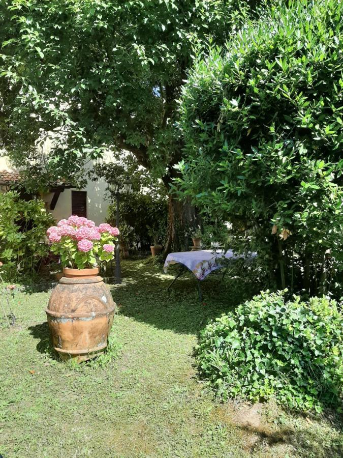 Antica Fattoria La Verdina Camaiore Exteriör bild