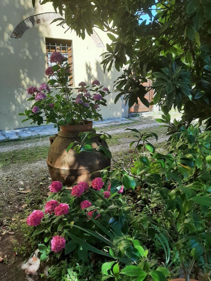 Antica Fattoria La Verdina Camaiore Exteriör bild